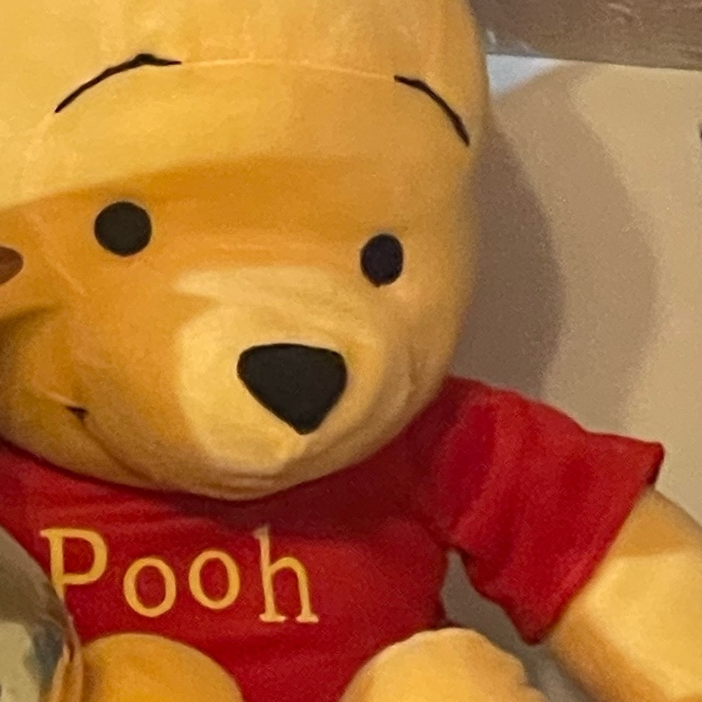 Disney Winnie the Pooh Stuffed Animal - Red and Yellow